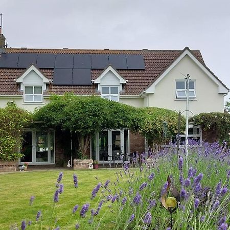 Westwood Lodge B & B 보스턴 외부 사진